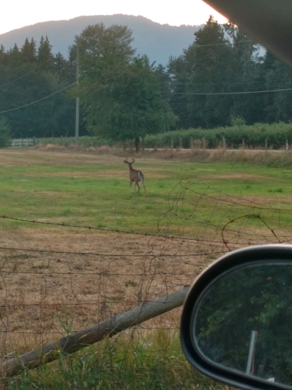 Polderside Farms Inc | 4843 Giesbrecht Rd, Chilliwack, BC V2R 4R1, Canada | Phone: (604) 823-7324