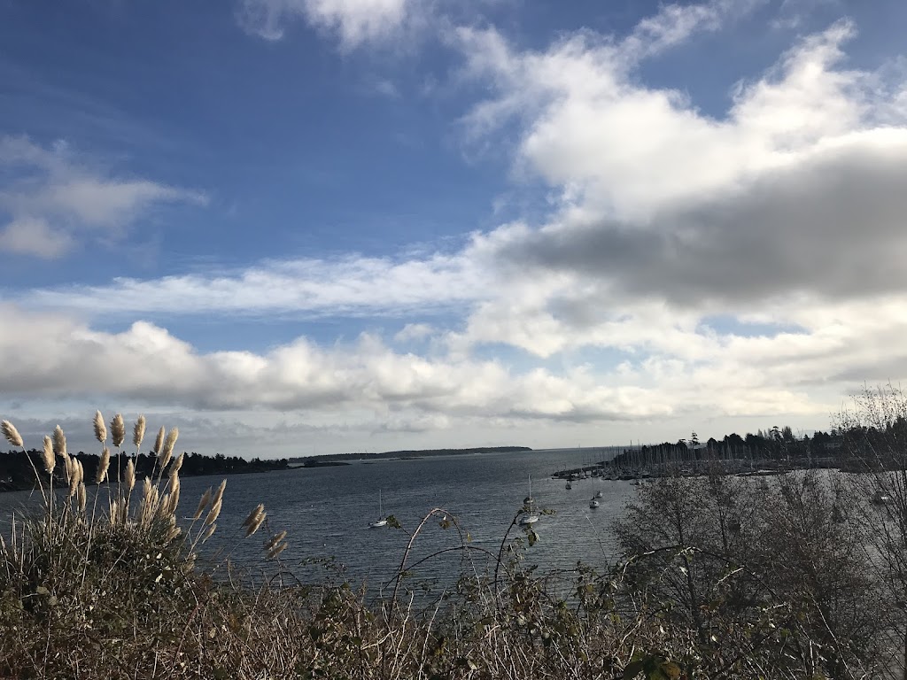 Cadboro Bay Counselling | 2601 Penrhyn St, Victoria, BC V8N 1G4, Canada | Phone: (250) 889-0010