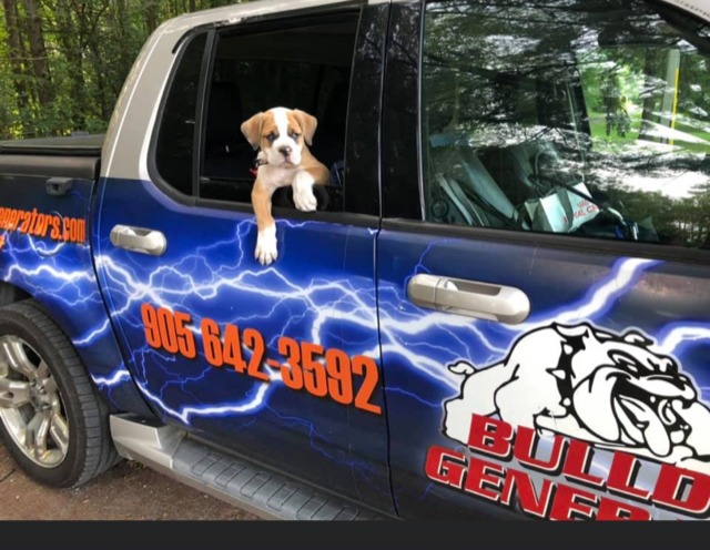 Bulldog Generators | 3151 Aurora Rd, Whitchurch-Stouffville, ON L4A 2P9, Canada | Phone: (905) 642-3592