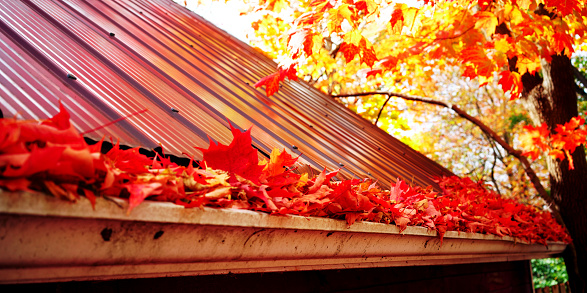 Truro Gutter Services | 503 Robie St, Truro, NS B2N 1M5, Canada | Phone: (902) 710-8079