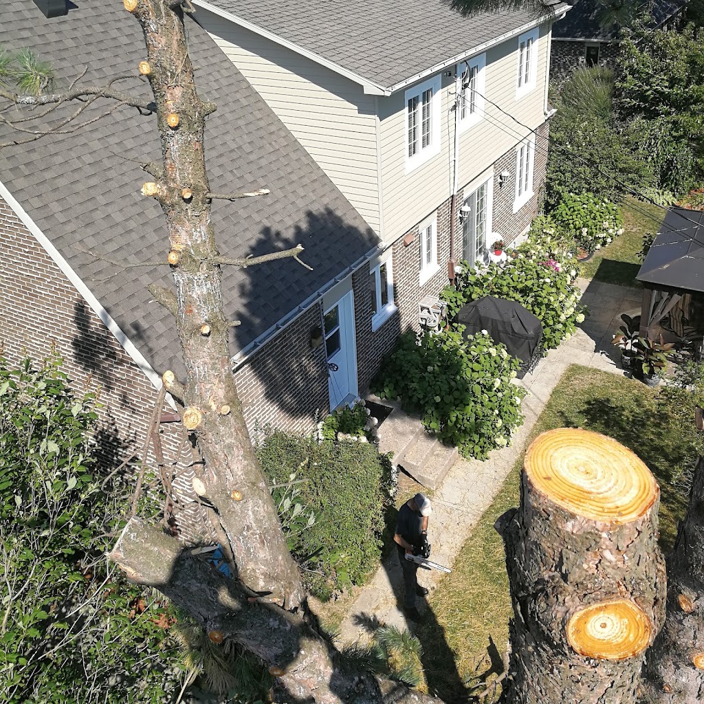 Émondage Marc Lizotte | 150 Chem. du Haut de la Rivière, Rivière-Ouelle, QC G0L 2C0, Canada | Phone: (418) 866-9622