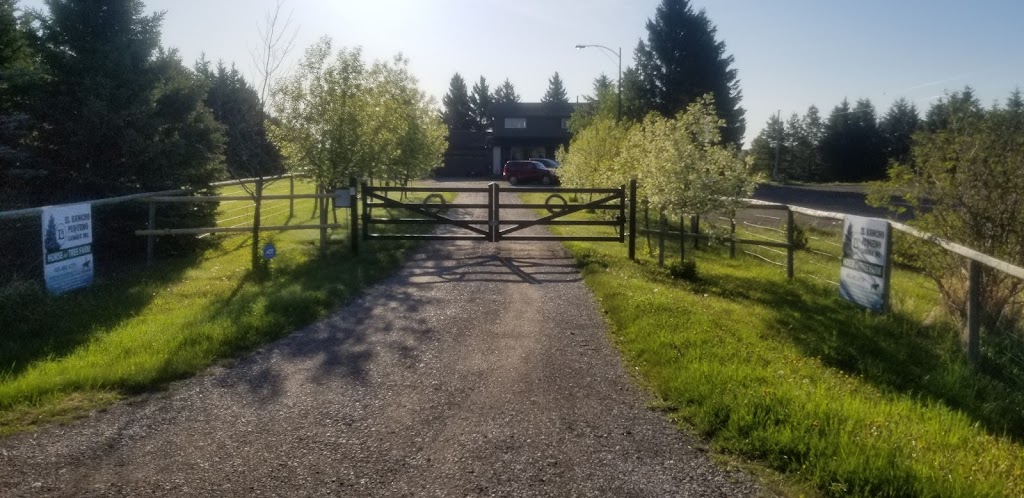 El Rancho Pequeno Canada Inc. - Horse and Tree Farm | 32469 RR40 32469 RR40, Olds, AB T4H 1P3, Canada | Phone: (403) 493-4759