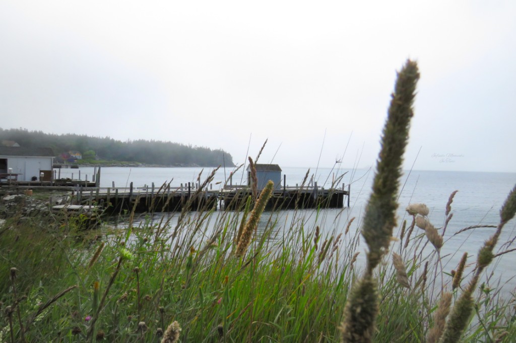 Carolyns Restaurant & Craft | 656 Big Tancook Island Rd, Tancook Island, NS B0J 3G0, Canada | Phone: (902) 228-2749