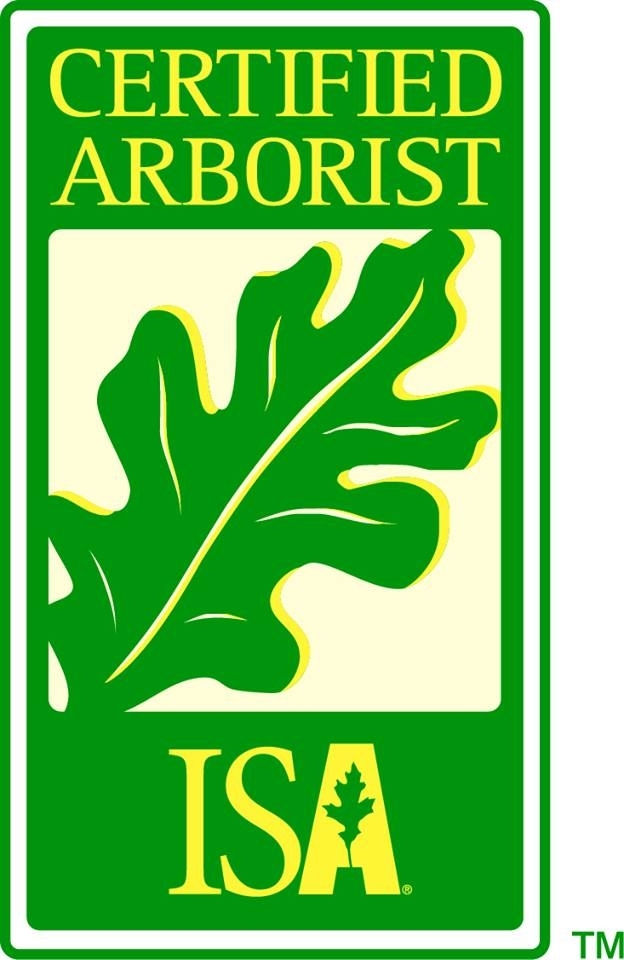 Apex Tree Surgeons | Trans-Canada Highway, Elana Drive, Warminster, ON L0K 2G0, Canada | Phone: (705) 955-7424
