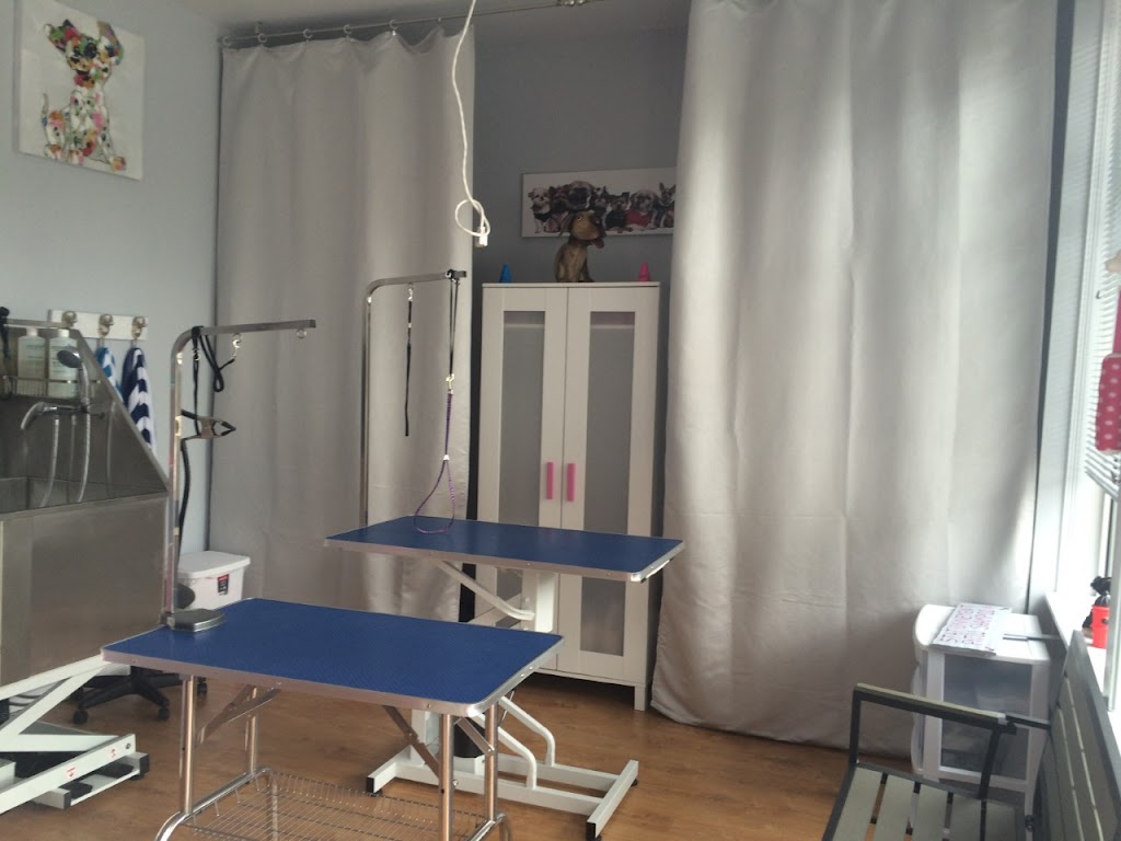 Toilettage Pitou Shampoo 563 Bd AdolpheChapleau, BoisdesFilion, QC