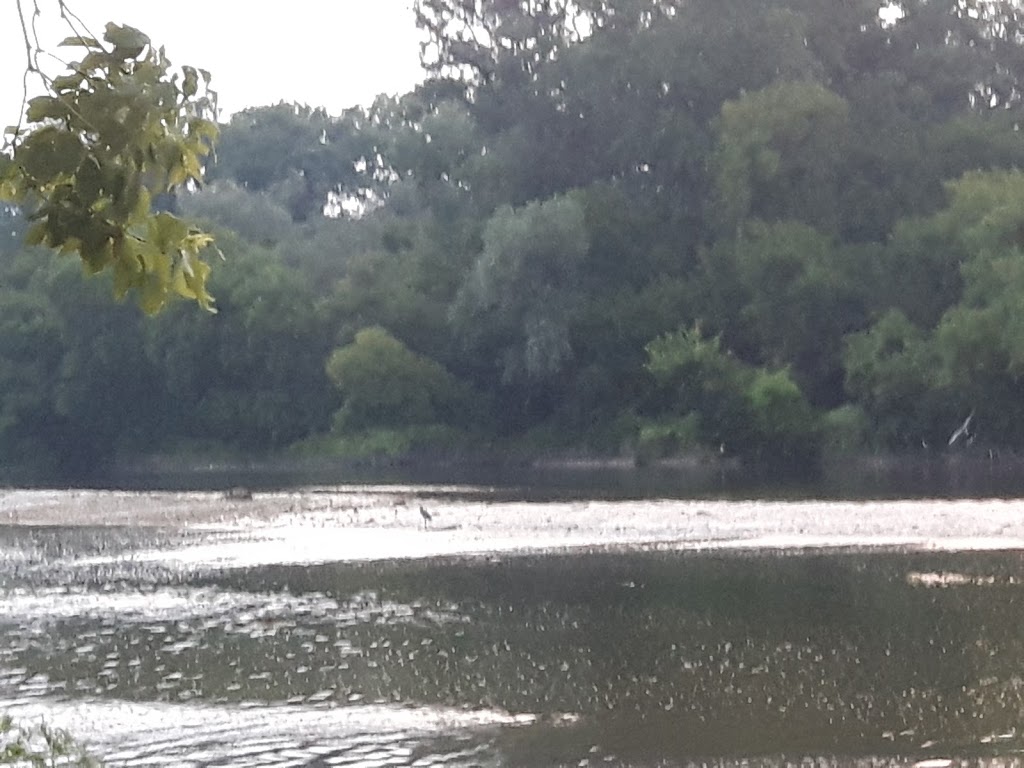 DAubigny Trail | DAubigny Trail, Brantford, ON N3T, Canada