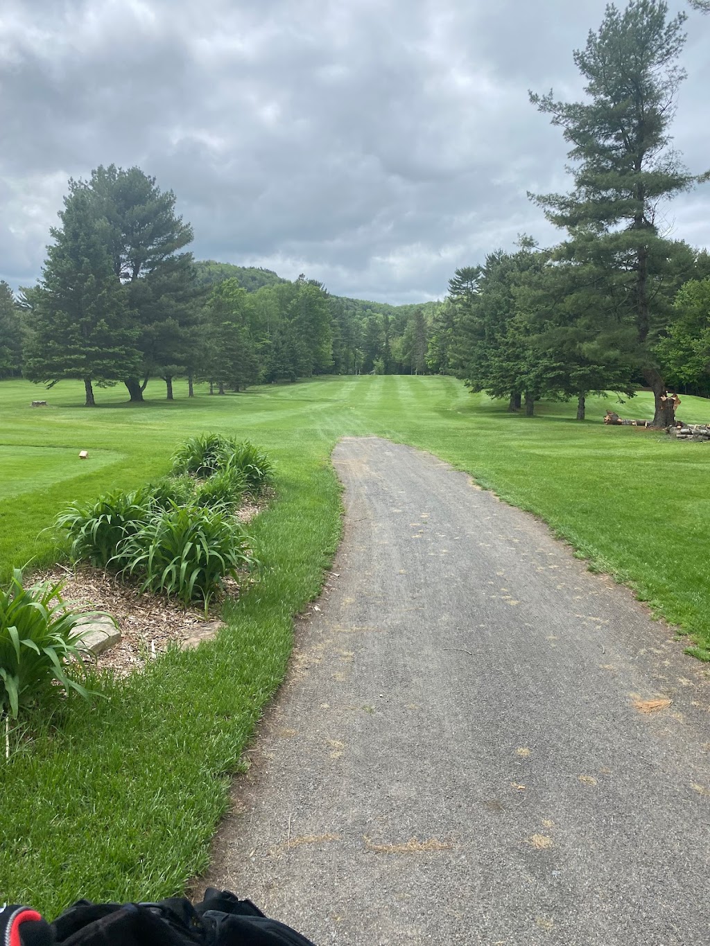 Alpine Golf Club | 1466 Rue des Copains, Sainte-Adèle, QC J8B 2A1, Canada | Phone: (450) 229-6600