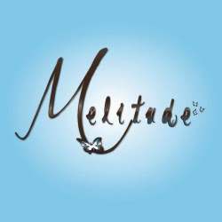 Melitude | 1189 Rue du Phénix, Sherbrooke, QC J1R 0J7, Canada | Phone: (819) 345-2440