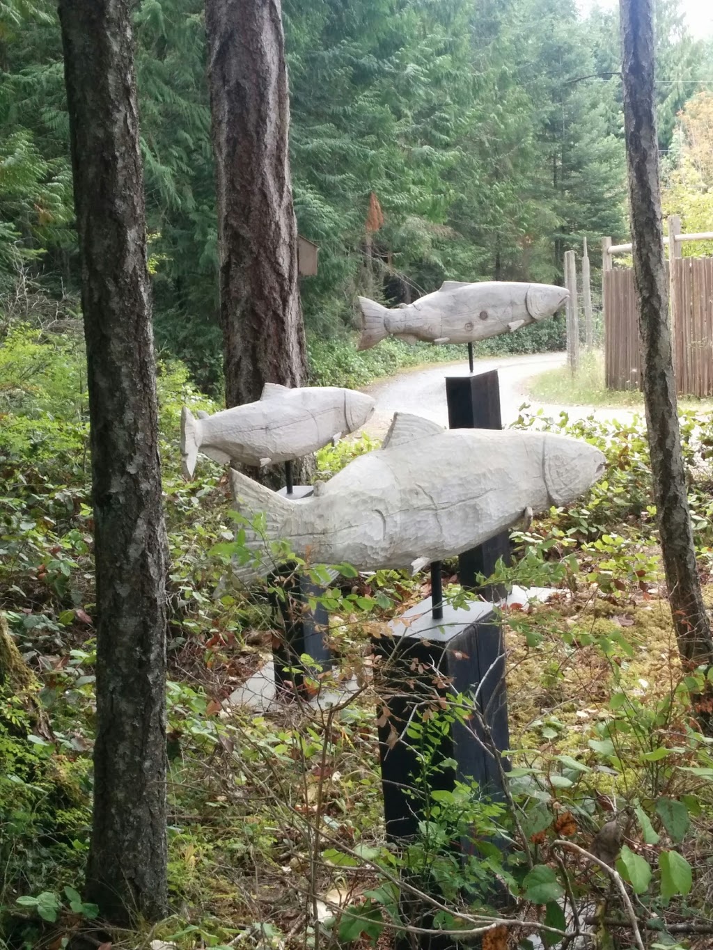 Blue Horse Folk Art Gallery | 175 N View Pl, Salt Spring Island, BC V8K 1A9, Canada | Phone: (250) 537-0754
