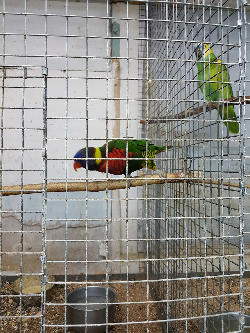 Vinces Pet Centre | 91 Friuli Ct, Woodbridge, ON L4L 7H2, Canada | Phone: (905) 856-0426