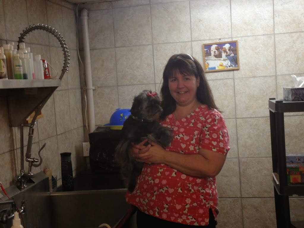 Toilettage Tout-Tout Propre | 89 Rue Main O, Coaticook, QC J1A 1P3, Canada | Phone: (819) 239-8688