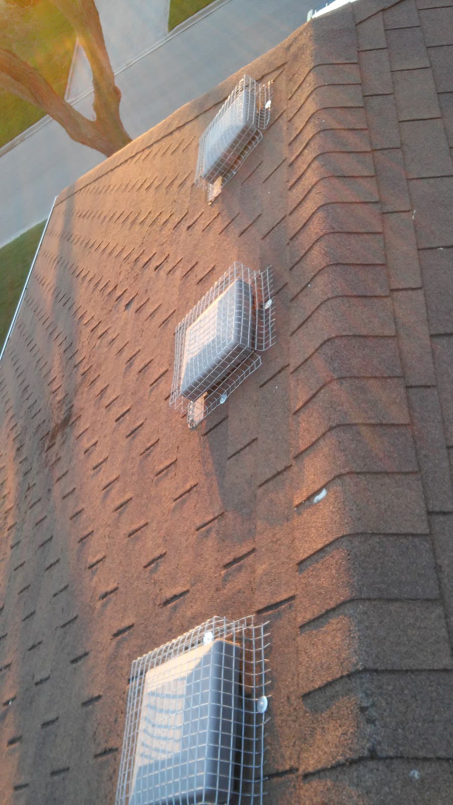 Durapest Wildlife Removal and Pest Control | 3 Swales Crescent, Brampton, ON L6R 0G4, Canada | Phone: (905) 782-6332