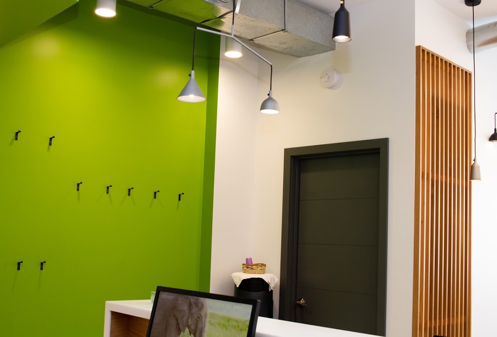 Shine Dental River Heights | 564 Academy Rd, Winnipeg, MB R3N 0E3, Canada | Phone: (204) 489-2204