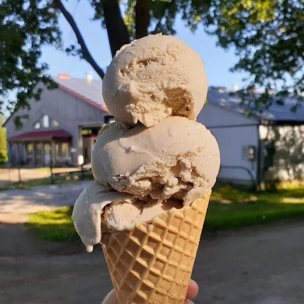 Mapletons Organic Dairy | 8548 Wellington St N, Moorefield, ON N0G 2K0, Canada | Phone: (519) 638-1115