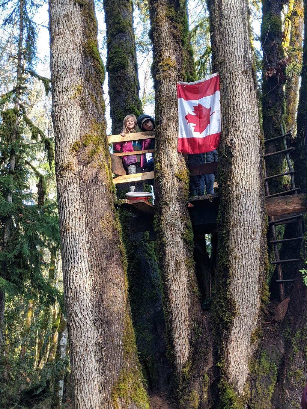 Glenora Farm | 4766 Waters Rd, Duncan, BC V9L 6S9, Canada | Phone: (250) 715-1559