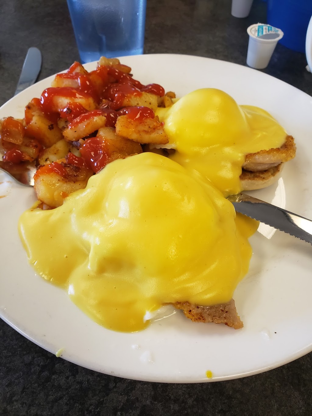 Nelsons Cafe | 2298 River Rd, Niagara Falls, NY 14304, USA | Phone: (716) 694-0444