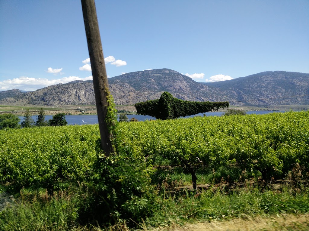 Peach Hill Farm Market | 9105 Okanagan Hwy, Osoyoos, BC V0H 1V2, Canada | Phone: (250) 495-5060