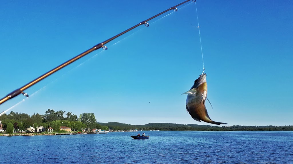 797-BOAT RENTAL & CHIP STOP | 5031 Rice Lake Dr N, Bailieboro, ON K0L 1B0, Canada | Phone: (905) 797-2628