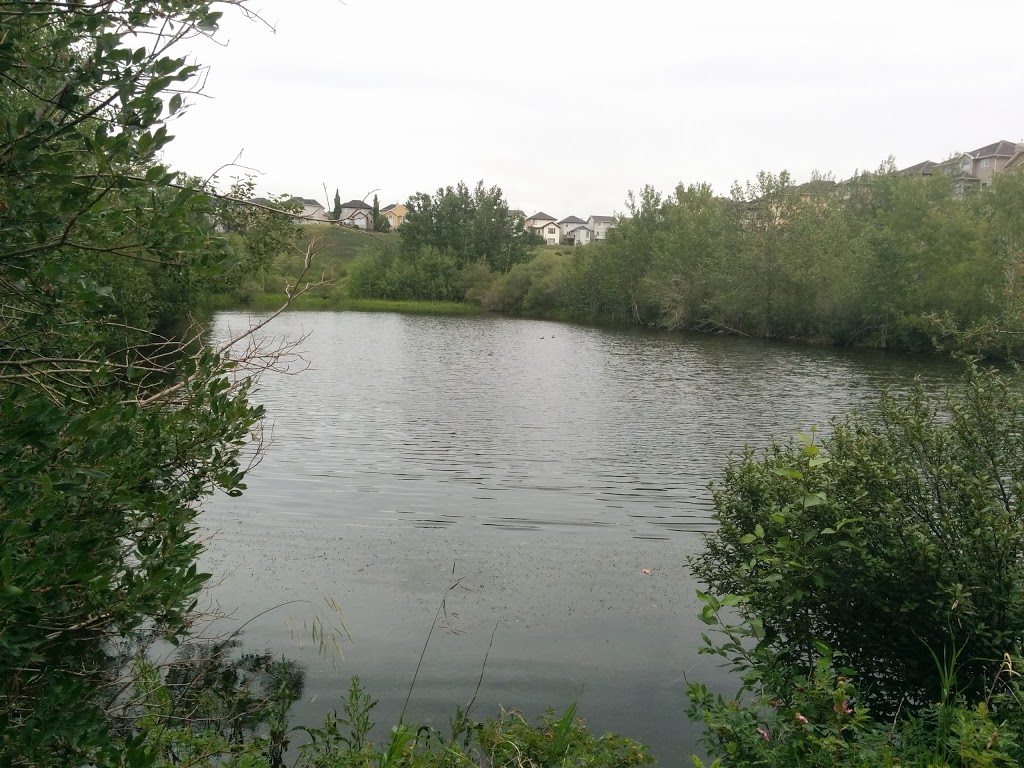 Sarina Pond | 166 R Royal Ridge Mt NW, Calgary, AB T3G 0A2, Canada