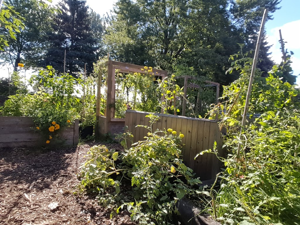 Agriculture Urbaine Garden | Hochelaga, Montréal, QC H1W 2N1, Canada | Phone: (514) 521-9292