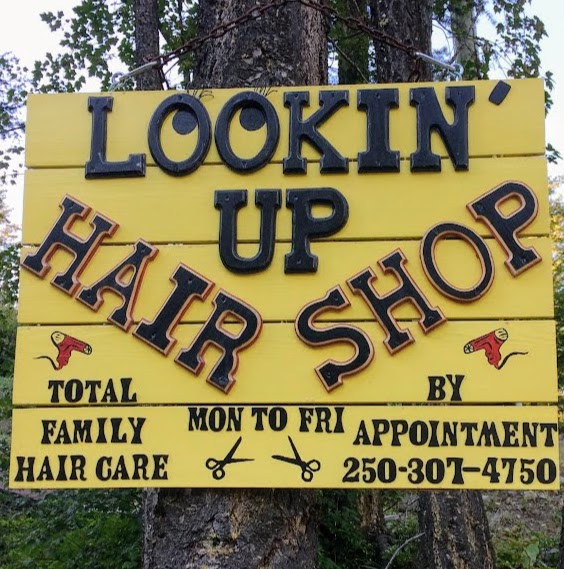 Lookin Up Hair Shop | 542 Moody Cres, Vernon, BC V1H 2C8, Canada | Phone: (250) 307-4750