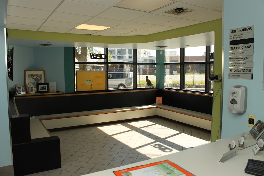 Clearwater Animal Hospital | 1117 Walker Rd, Windsor, ON N8Y 2N8, Canada | Phone: (519) 253-7204