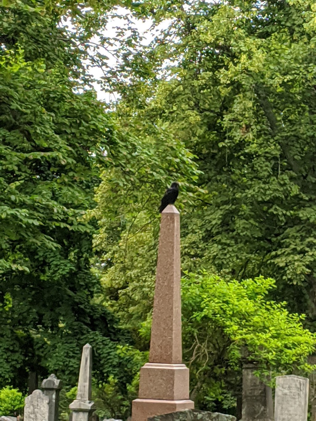 Camp Hill Cemetery | 1600 Summer St, Halifax, NS B3H 3A6, Canada | Phone: (902) 490-4883