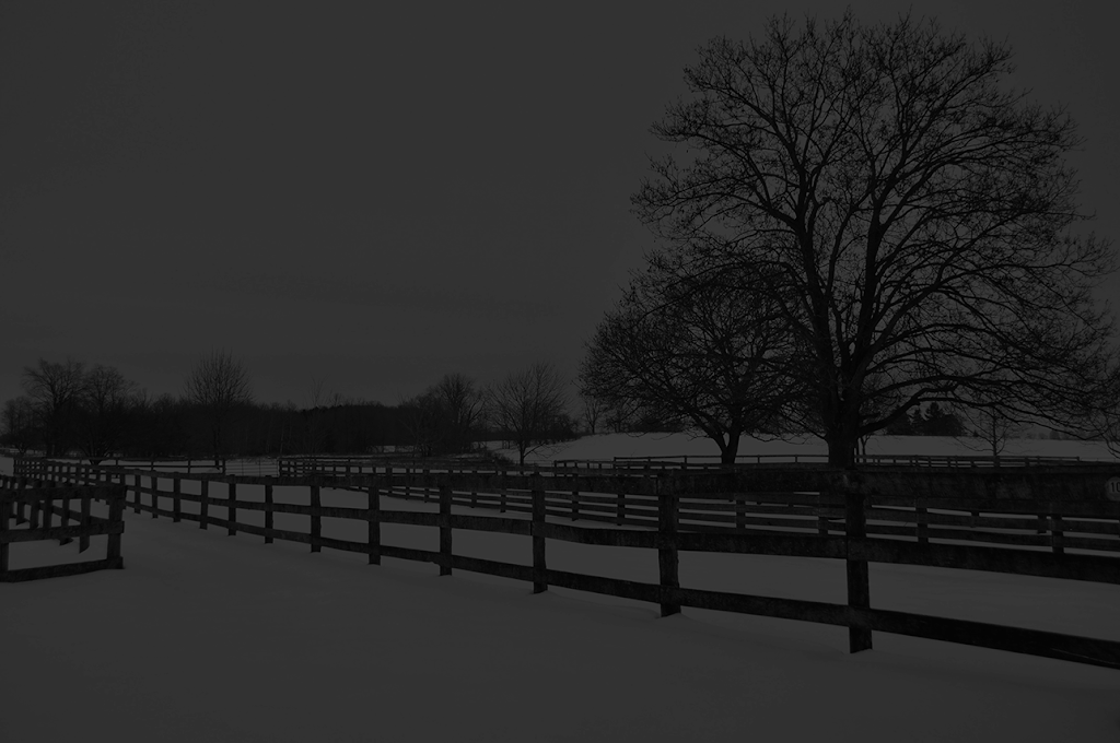 Jou Equine Reproduction Services | 289 Parkmount Dr, Waterloo, ON N2L 4M9, Canada | Phone: (519) 277-0627