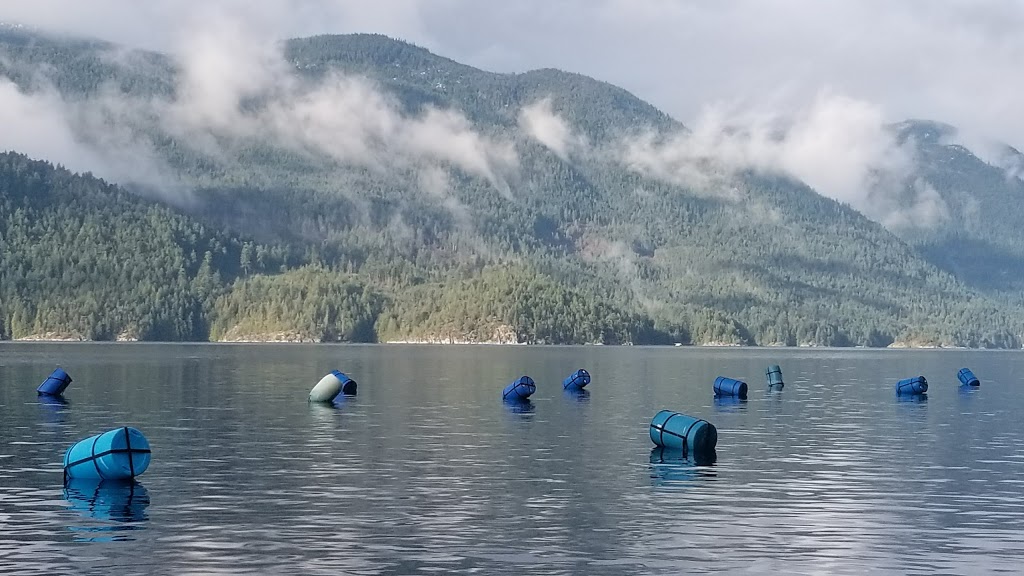 Oyster Farm | Sunshine Coast B, BC V0N 3A0, Canada | Phone: (778) 862-3698