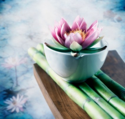 Audrey Lesquelin, Acupunctrice | 15000 Boul de Pierrefonds, Pierrefonds, QC H9H 4G2, Canada | Phone: (514) 880-6739