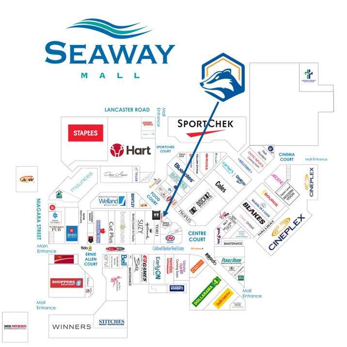 HoneyBadger Bitcoin ATM at Seaway Mall | 800 Niagara St, Welland, ON L3C 1M3, Canada | Phone: (604) 787-1220