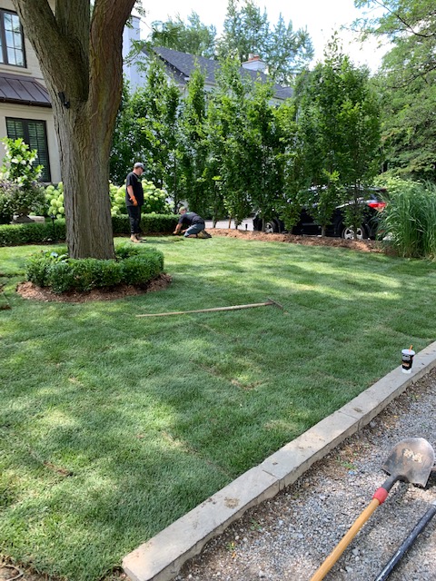 Leader Landscape Construction | 3045 Southcreek Rd #27, Mississauga, ON L4X 2X6, Canada | Phone: (416) 854-2124