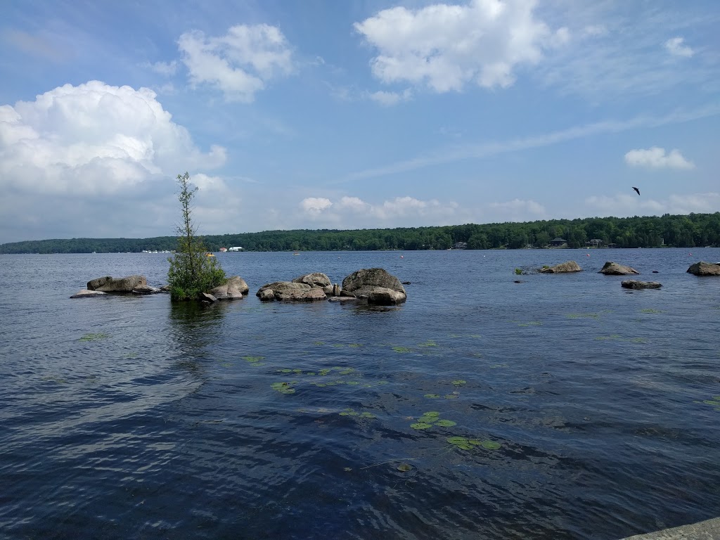 Gallery on The Lake | 31 Fire Rte 21 Rd, Buckhorn, ON K0L 1J0, Canada | Phone: (705) 657-1108