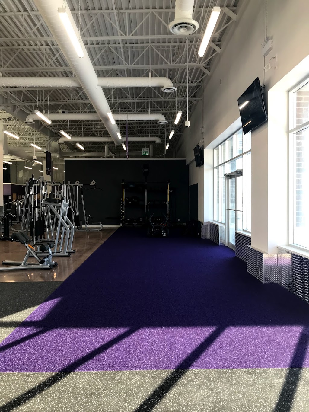 Anytime Fitness | 380 Mountainview Rd S, Georgetown, ON L7G 0L5, Canada | Phone: (905) 873-0300