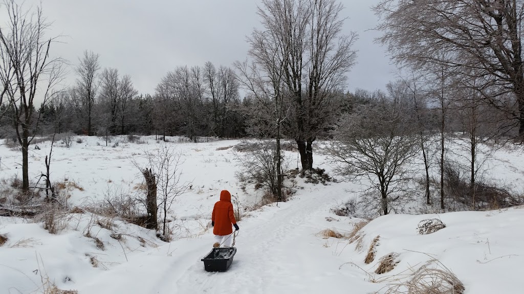 Tisarana Buddhist Monastery | 1356 Powers Rd, Perth, ON K7H 3C5, Canada | Phone: (613) 264-8208