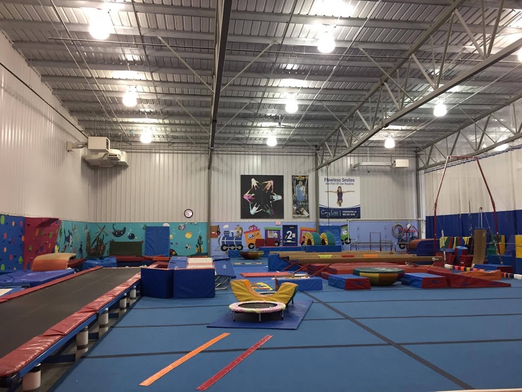 Calgary Gymnastics Centre | 179 Canada Olympic Rd SW, Calgary, AB T3B 6B7, Canada | Phone: (403) 242-1171