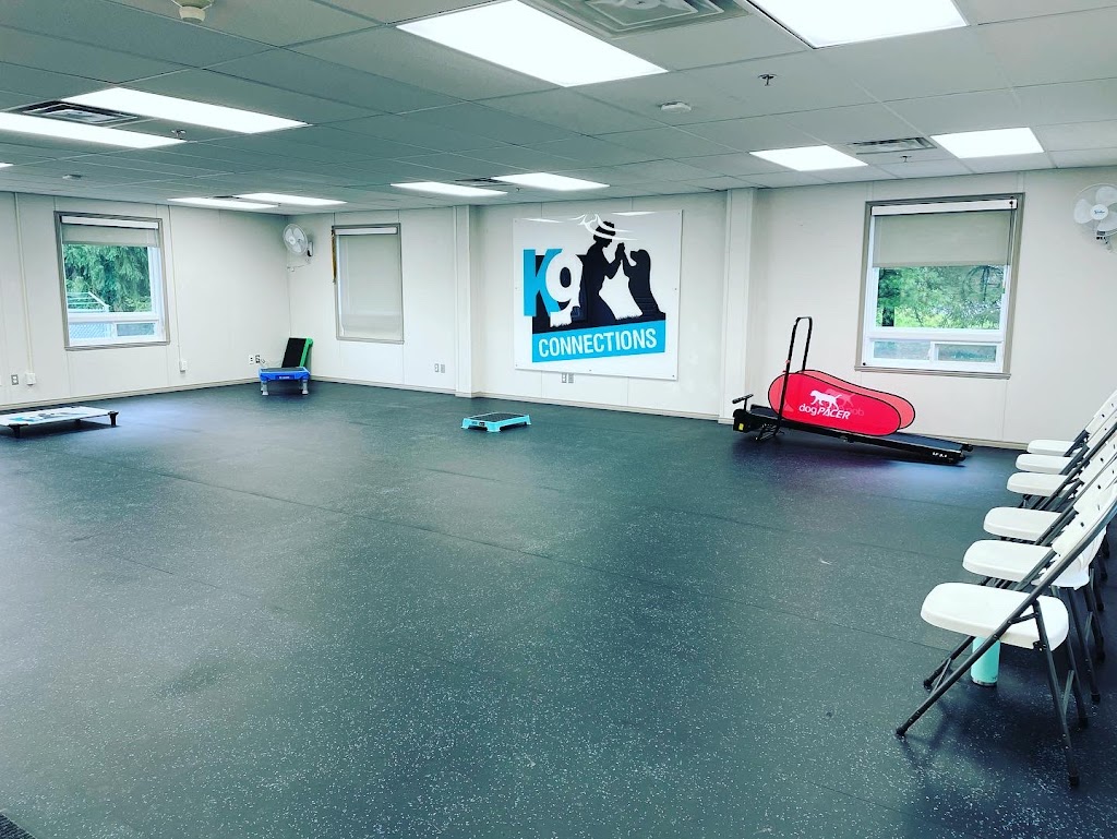 K9 Connections Inc. | 1339 10th Side Rd, Tottenham, ON L0G 1W0, Canada | Phone: (905) 716-1057
