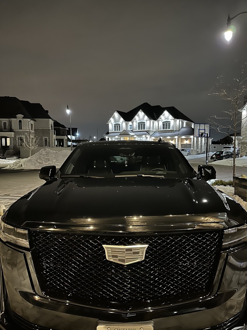 Professor Detailing | 11 Remembrance Rd, Brampton, ON L7A 0A7, Canada | Phone: (437) 988-4992