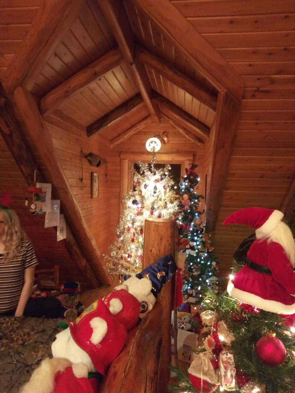 Christmas Tree Walk | 8008-8248 Marsh Rd, Clay Township, MI 48001, USA