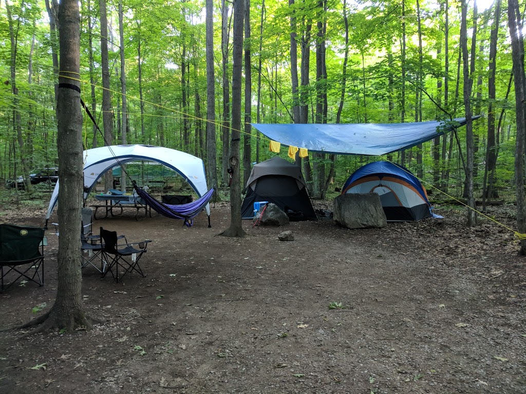 Snake Campground | Tiny, ON L9M 1R2, Canada | Phone: (705) 549-2231