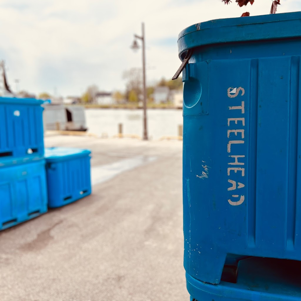 Steelhead Food Co. Port Stanley | 189 Main St, Port Stanley, ON N5L 1C4, Canada | Phone: (519) 782-5131