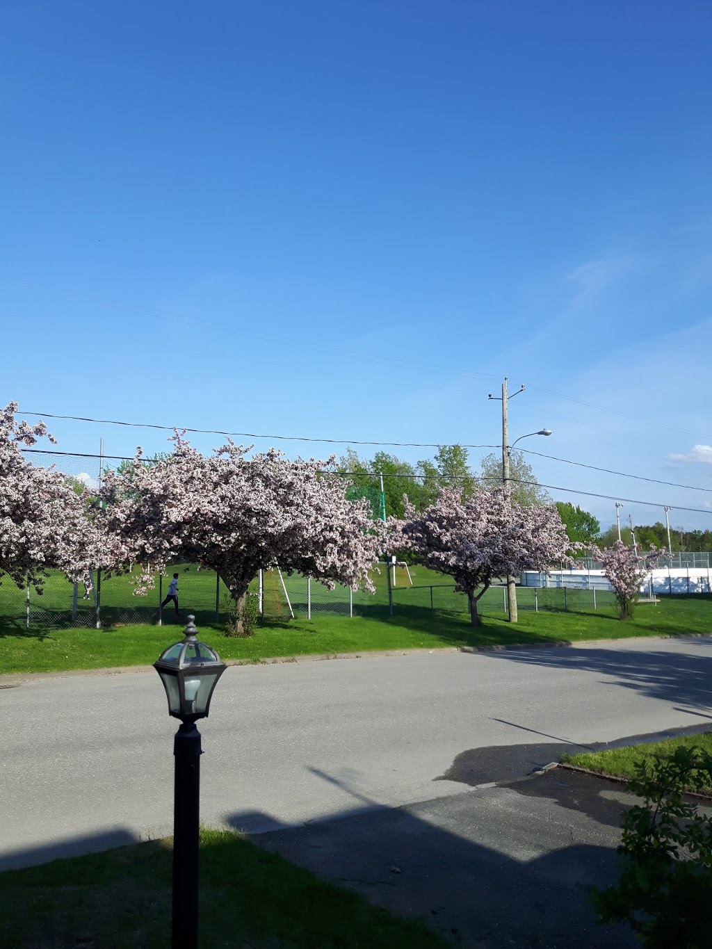 Parc de Saint-Charles-Garnier | 2c2, 3760 Rue Léon-Marcotte, Sherbrooke, QC J1L 2C2, Canada