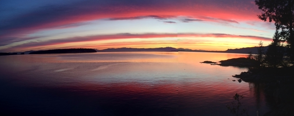 Artesia Homeopathic Clinic | C/o Longhouse Bay Getaway, 10605 Sunshine Coast Hwy, Halfmoon Bay, BC V0N 1Y2, Canada | Phone: (604) 885-0562