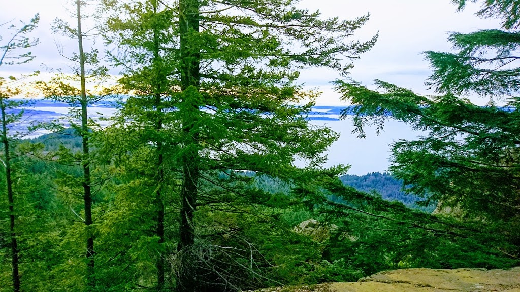 Oyster Dome | 11571 Blue Heron Rd, Bow, WA 98232, USA