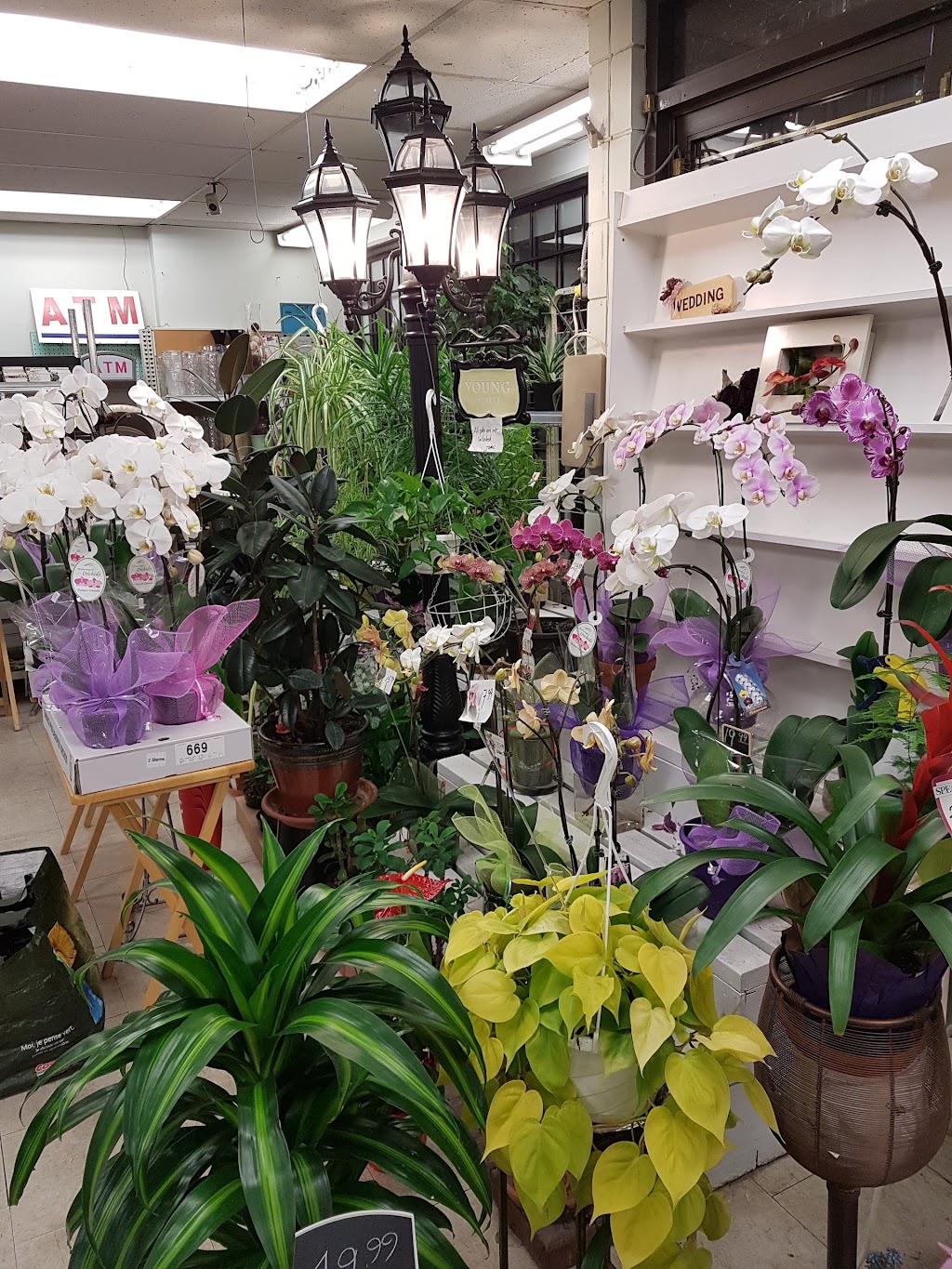 Maillardville Market 152 | 952 Brunette Ave, Coquitlam, BC V3K 1C9, Canada | Phone: (604) 522-3030