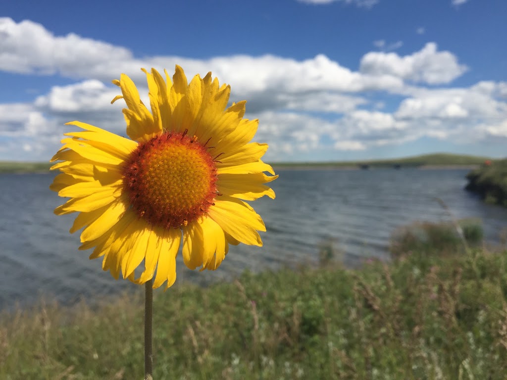 Pine Coulee Park | Township Rd 140, Stavely, AB T0L 1Z0, Canada | Phone: (403) 625-6239