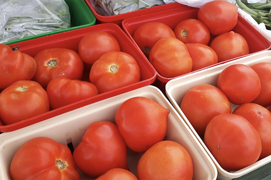 Ferme CFR | 77 Rue Lachapelle E, Saint-Rémi, QC J0L 2L0, Canada | Phone: (514) 705-2263