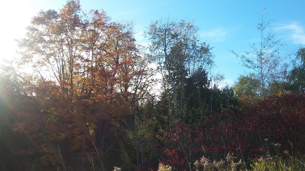 Evans Park | Aurora, ON L4G 7K2, Canada