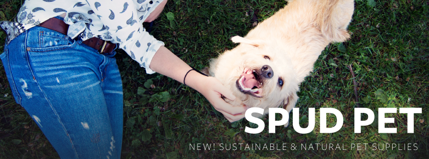 SPUD.ca - Vancouver & Lower Mainland | 1660 E Hastings St, Vancouver, BC V5L 1S6, Canada | Phone: (604) 215-7783