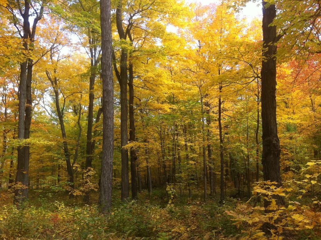 Ressources Forestières Biotiques Inc | 965 Route Principale, Sainte-Mélanie, QC J0K 3A0, Canada | Phone: (450) 960-2130
